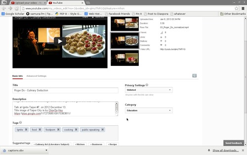 The Youtube video info editing window