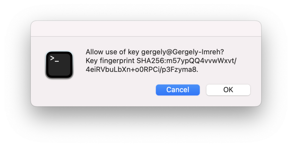 1Password pop-up for SSH key usage